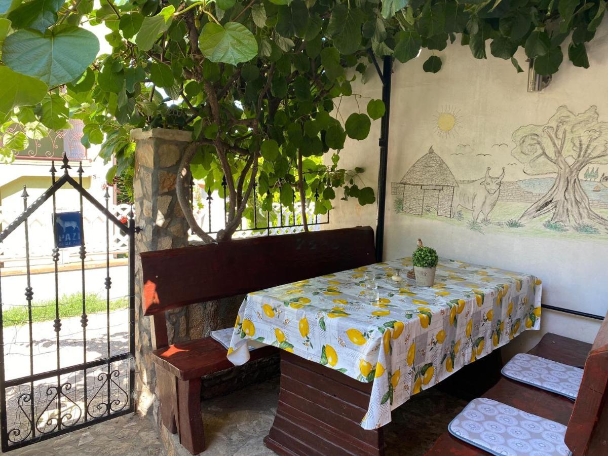 Studio Apartment Elsa Galizana ภายนอก รูปภาพ