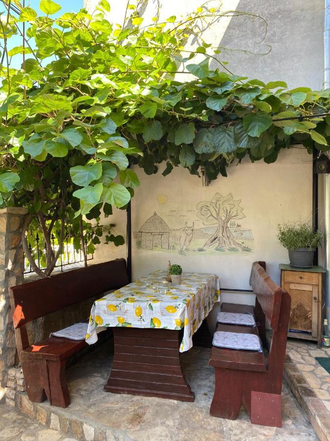 Studio Apartment Elsa Galizana ภายนอก รูปภาพ